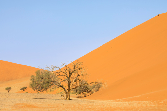 Lone climber Dune 45